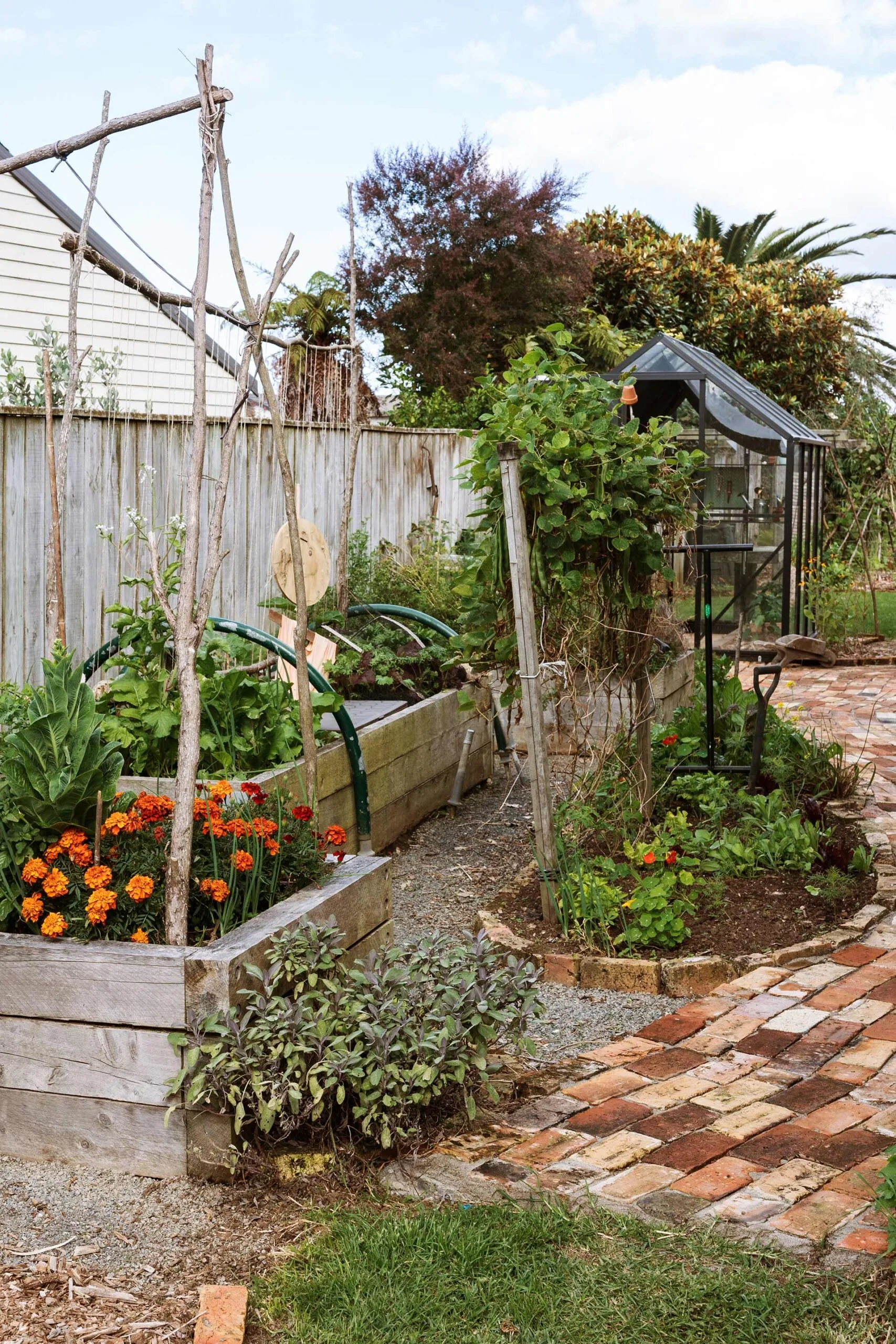The Waihi home back garden