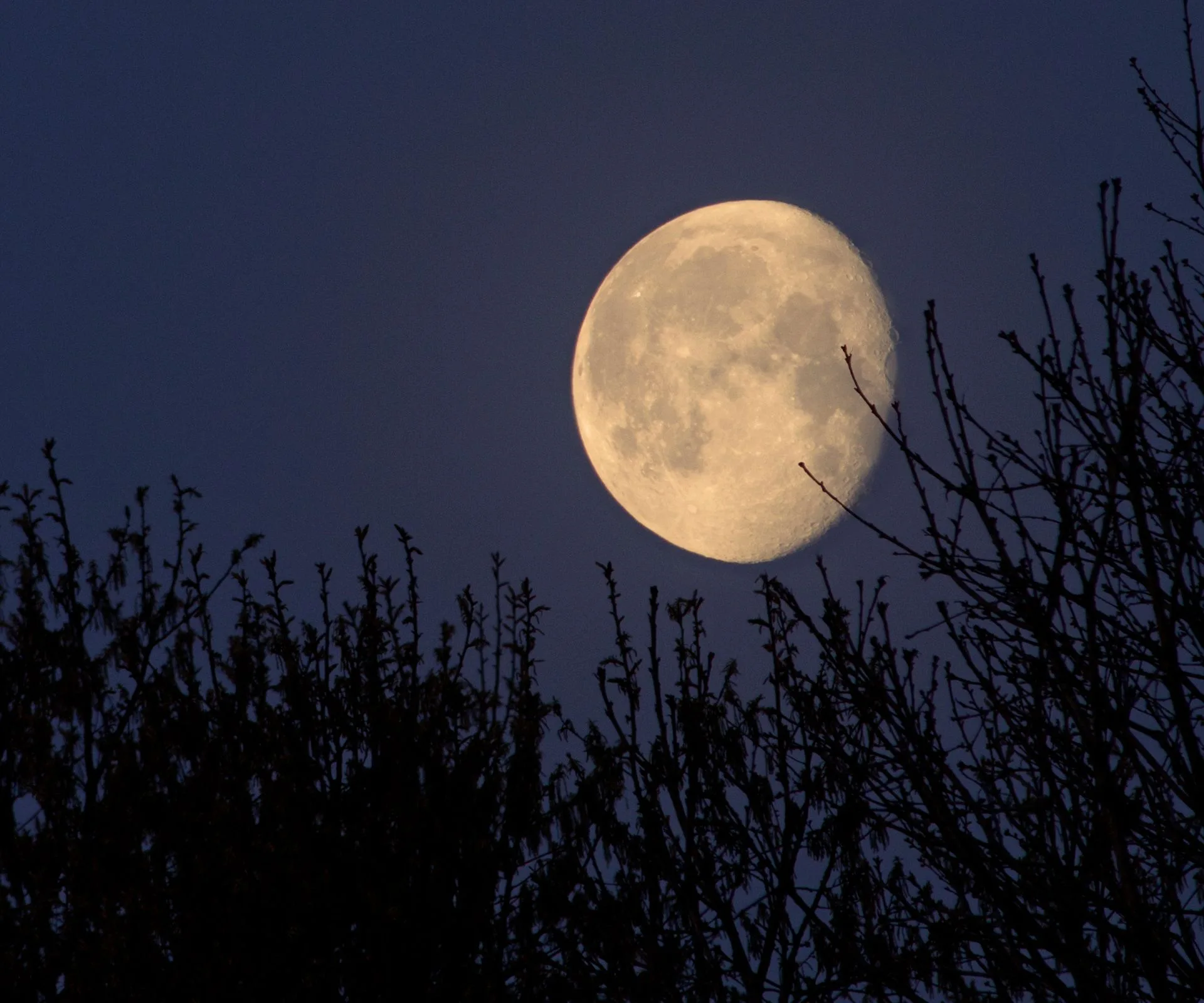 The moon