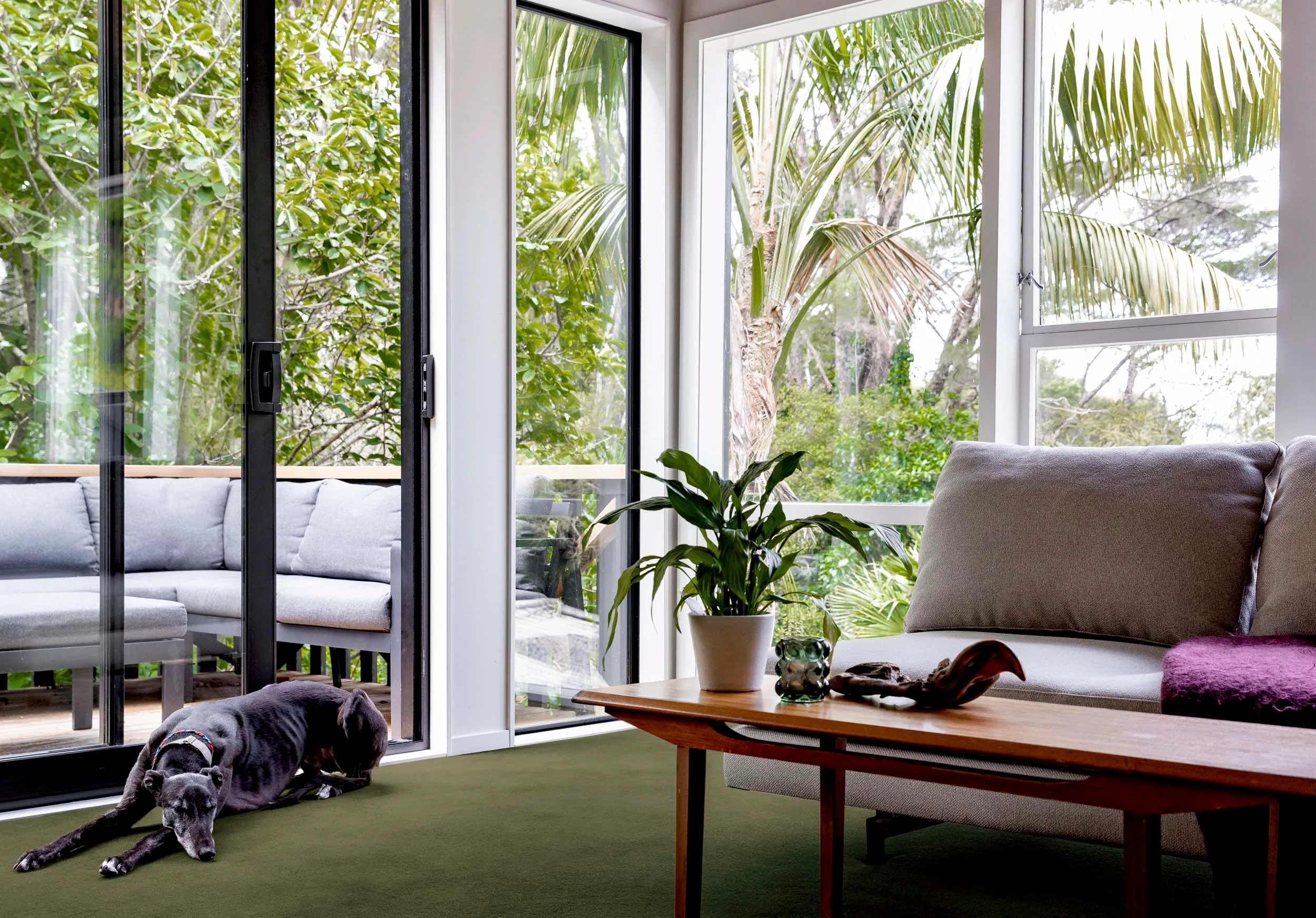 The upstairs lounge with green carpet and floor-to-ceiling windows that lead to an oasis balcony surrounded by tall trees