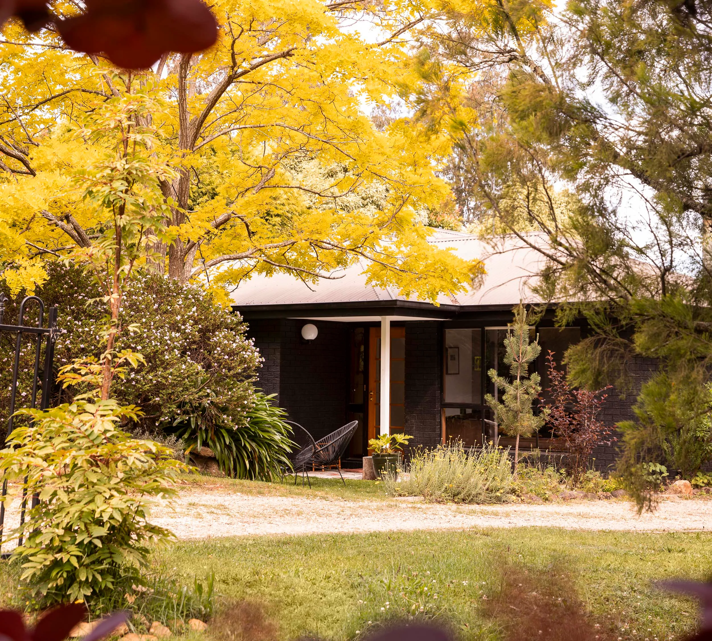 The exterior of the Japanese-style home viewed through some autumnal trees