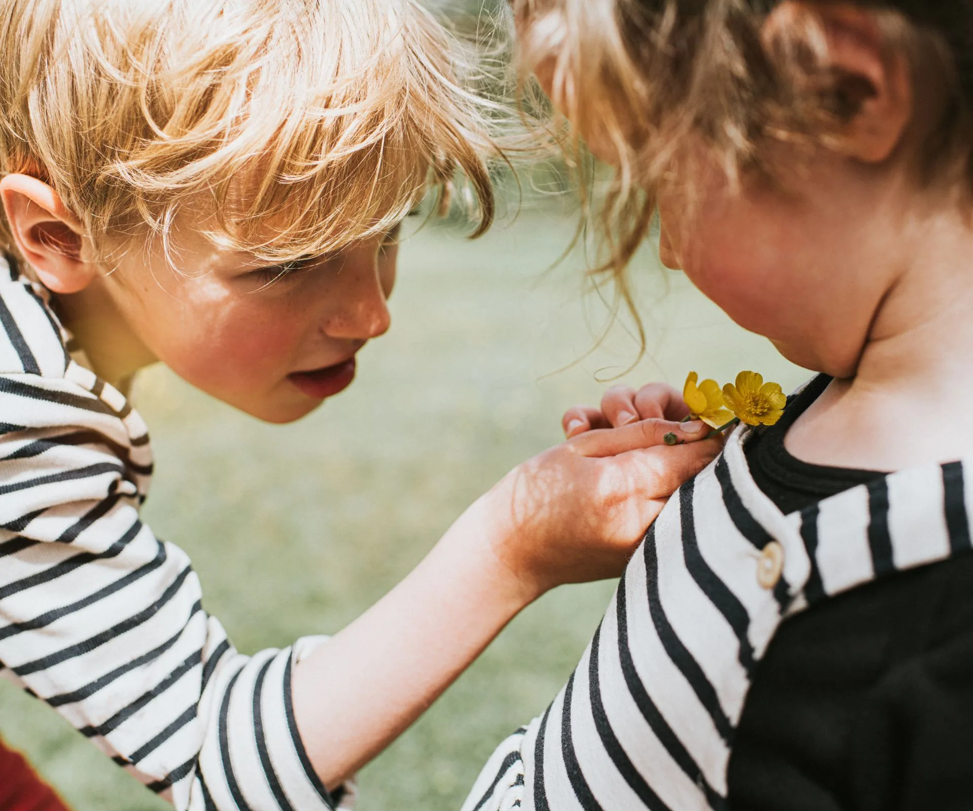 children holding a buttercup flower under each others chins