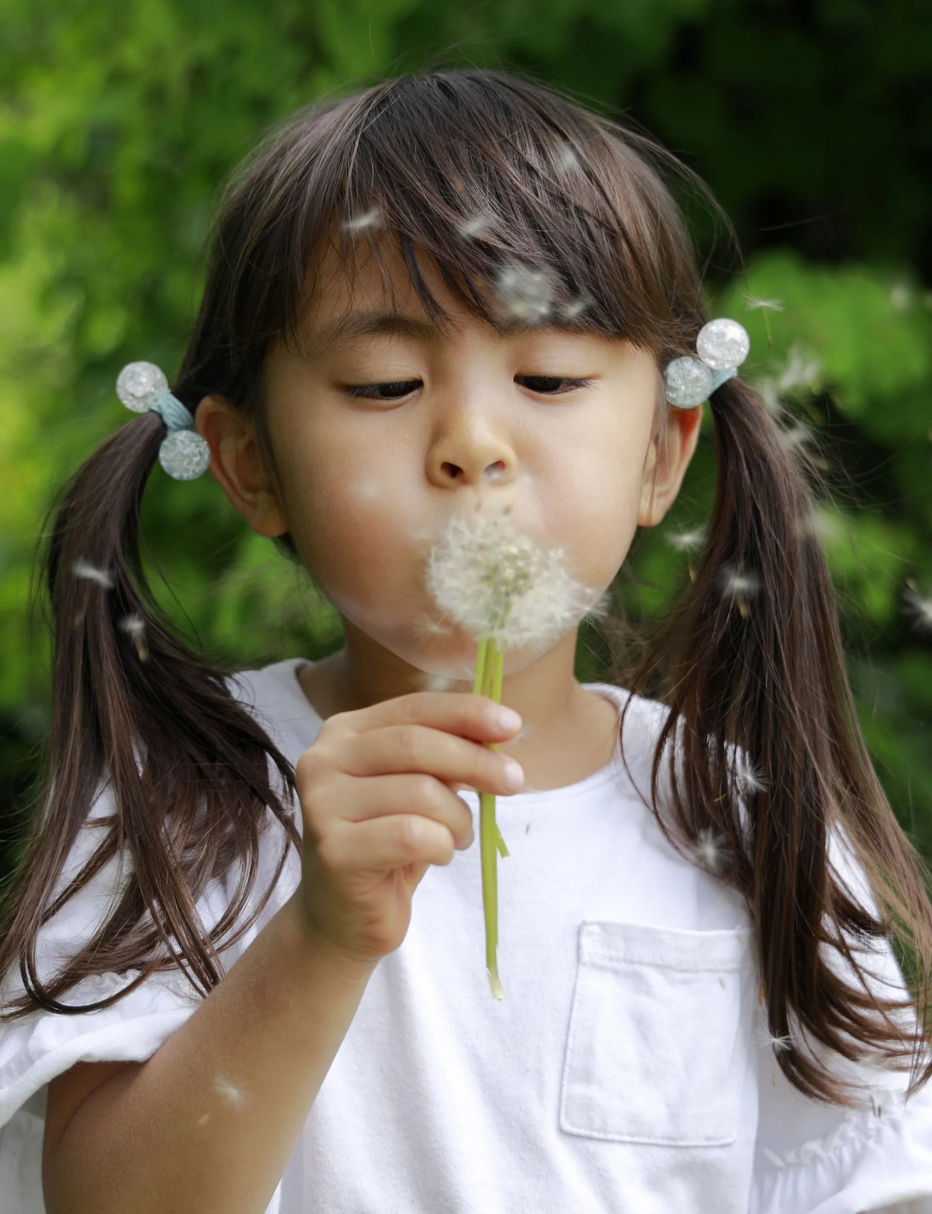 A girl blowing on a dandelion in the garden