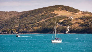sale boat in hamilton island