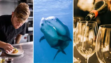 WIN! A LUXURY TRUE NORTH CRUISE TO EXPLORE AUSTRALIA’S STUNNING SOUTHERN COASTLINE