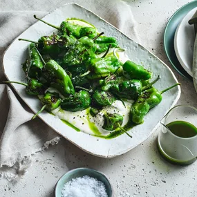 Padrón peppers with whipped feta and herb oil on a white plate