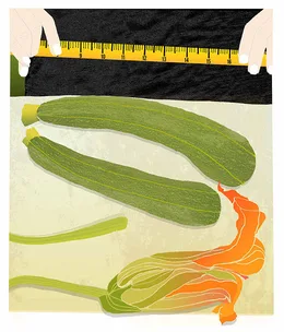 Marrow margins