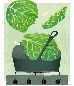 Cabbage