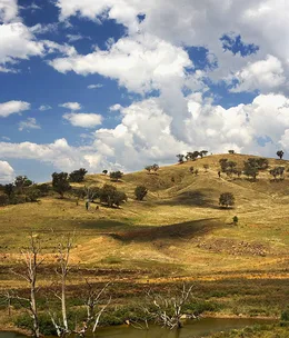 Glorious Mudgee