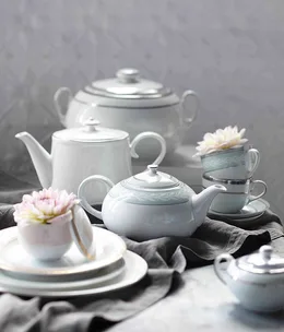 Dynamic ceramics