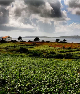 Spain’s Emerald Coast