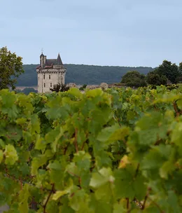 Loire Valley travel guide
