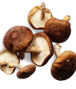 Otway Forest Shiitake mushrooms