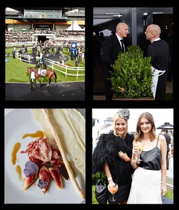 Little Sydney 2014 recap