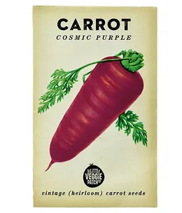 How to grow your own carrots