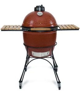 Kamado Joe barbecue