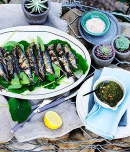 Grilled sardines with nasturtiums and rosemary tarator