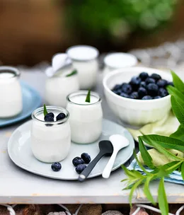 Pot-set yoghurt with lemon verbena and blueberries