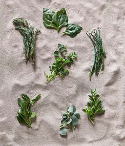 Know your beach greens