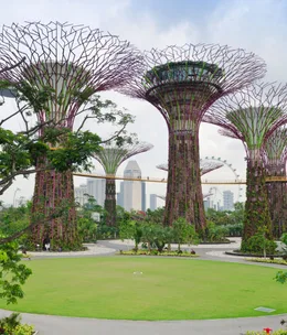Local knowledge: Singapore