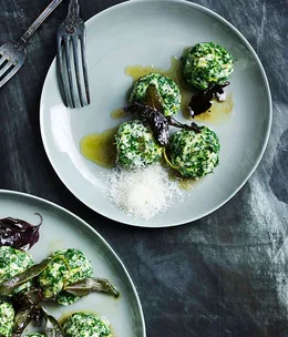 Gnudi