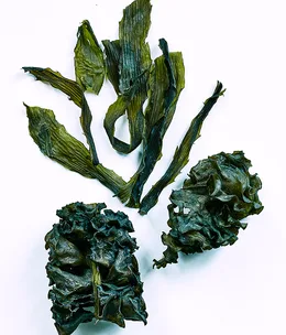 The Producers: Kai Ho sea vegetables