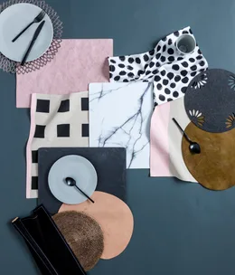 Elegant placemats