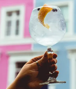 A hotel dedicated to gin is opening in London