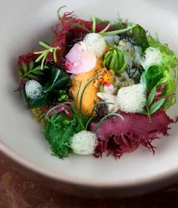 Sean Brock opens McCrady’s
