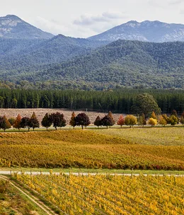 Victoria’s reinvigorated High Country