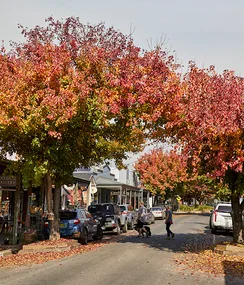 Where to eat, drink and stay in Victoria’s High Country