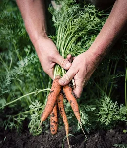 Living off the land in winter