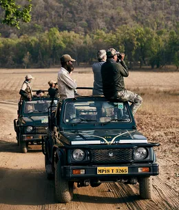 Chasing Bengal tigers in India’s Madhya Pradesh