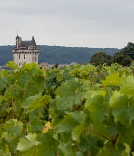 France leads on food sustainability, Australia lags