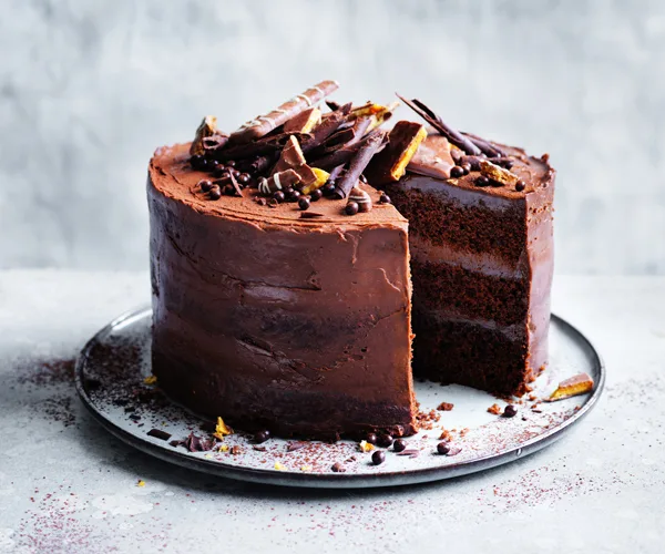 Salted chocolate layer cake with whipped ganache