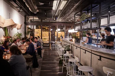 Inside Paperbark, Sydney's new plant-based restaurant
