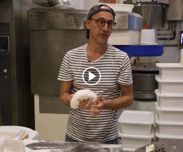 Iggy Ivanovic, Iggy's Bread.