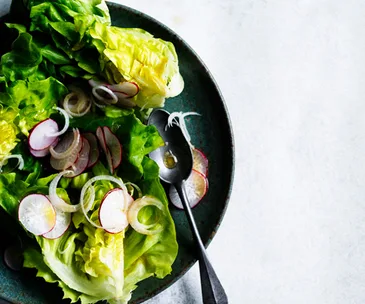 Radish and butter lettuce salad