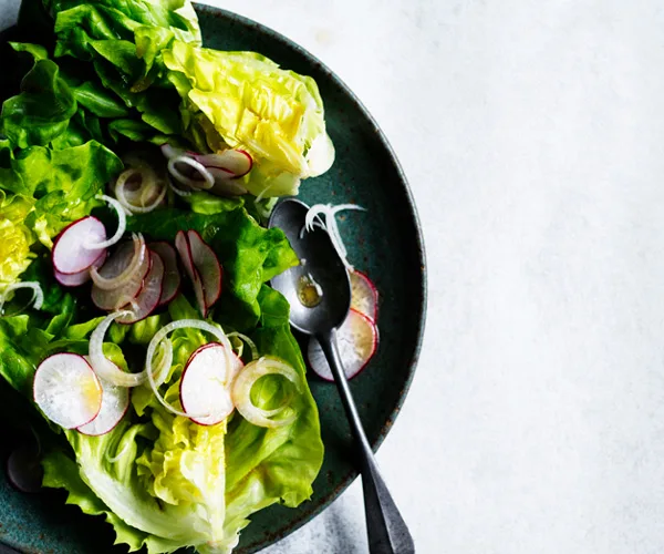 Radish and butter lettuce salad