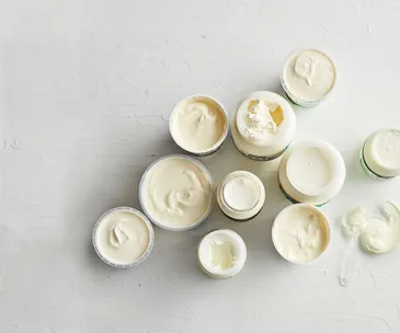 Yoghurt, explained