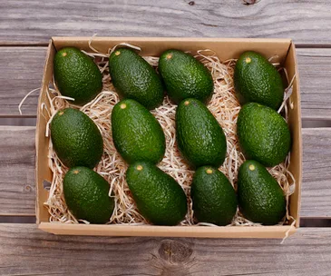 The subscription service that delivers boxes of avocados to your doorstep, every month