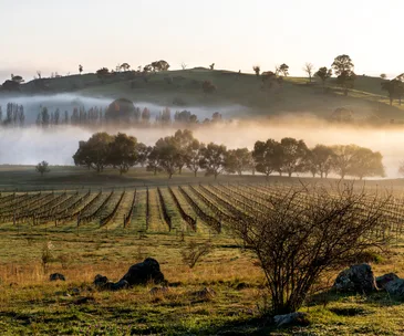 Canberra’s wine region: where to drink, eat and stay