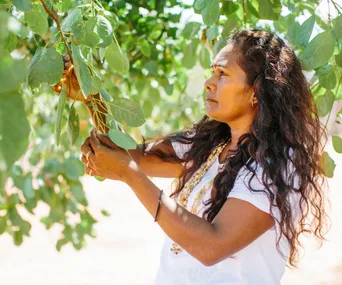 Side profile of a woman in white T-shirt harvesting Kakadu plum from a tree.
