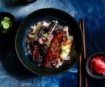 Japanese pork donburi with dark blue background