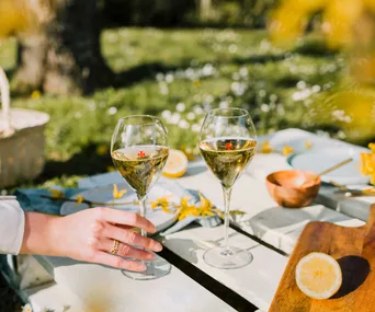 Picnics, parties, pergolas: How to elevate your outdoor dining experience