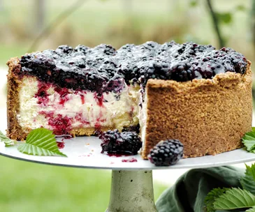 Say cheese to our best-ever cheesecakes