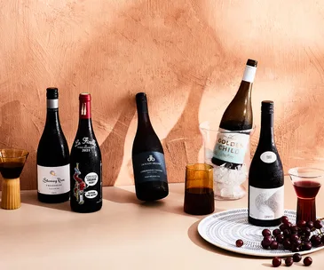 Best chilled red wine against a terracotta background. Three glasses are poured with grapes on the table.