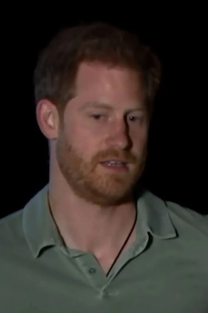 Prince Harry African documentary