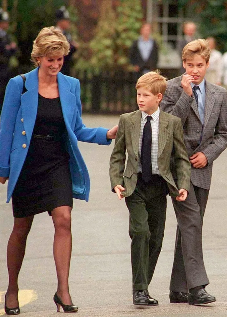 princess diana prince william harry