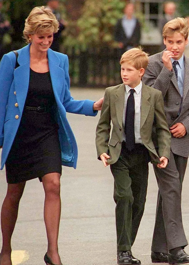 princess-diana-harry-william