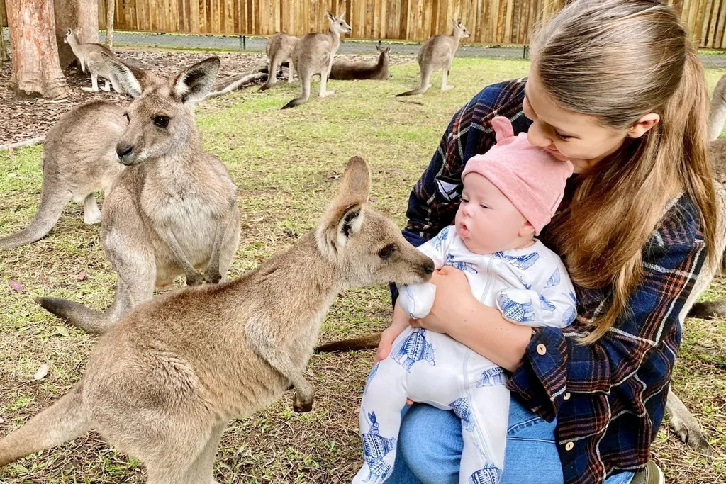 bindi irwin grace zoo